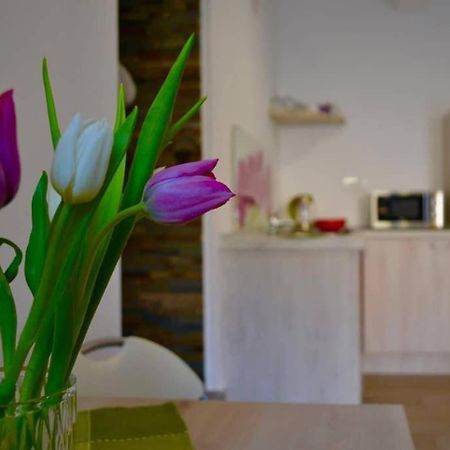 Ferienwohnung Zsizelle Rezidence Brașov Exterior foto