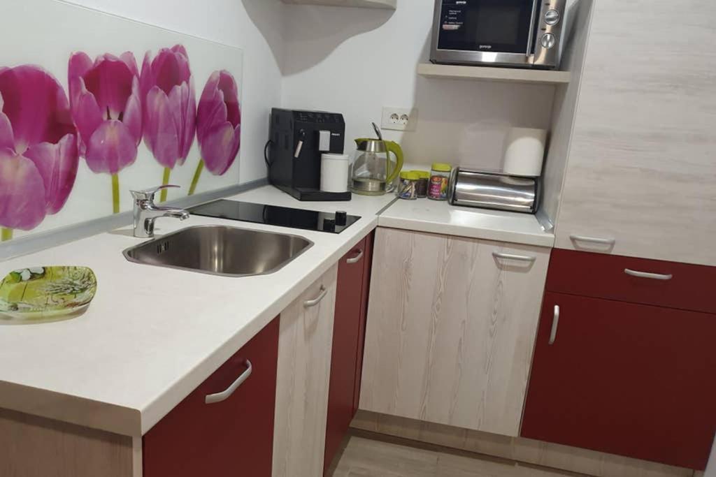 Ferienwohnung Zsizelle Rezidence Brașov Exterior foto