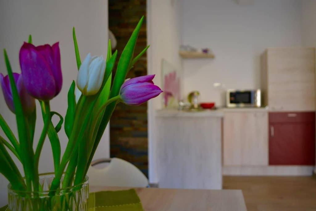 Ferienwohnung Zsizelle Rezidence Brașov Exterior foto