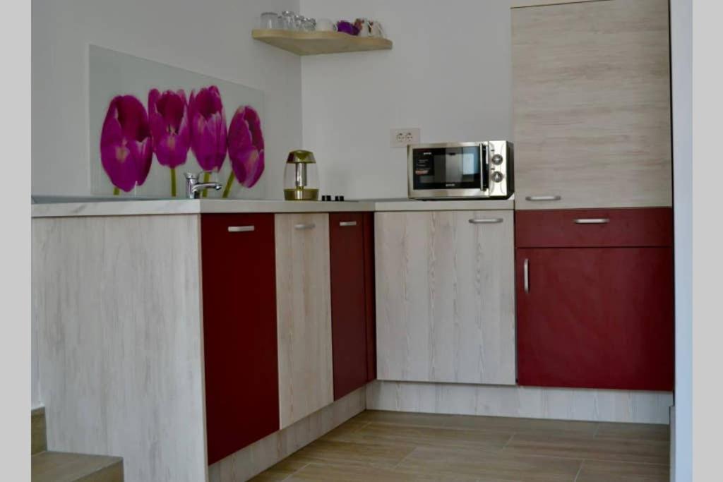 Ferienwohnung Zsizelle Rezidence Brașov Exterior foto