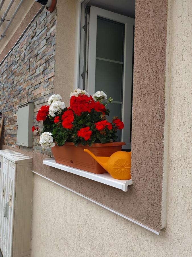 Ferienwohnung Zsizelle Rezidence Brașov Exterior foto